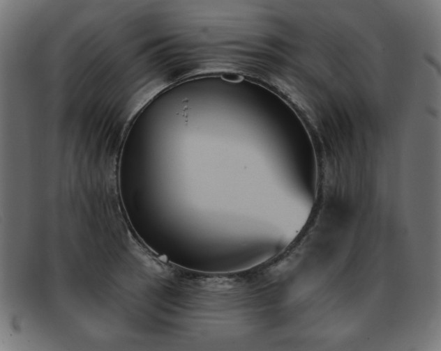 X0000093361137200710111450