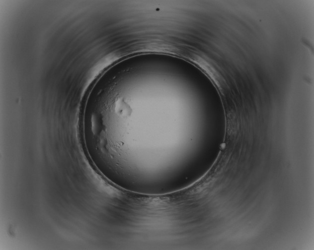 X0000093361139200710111450