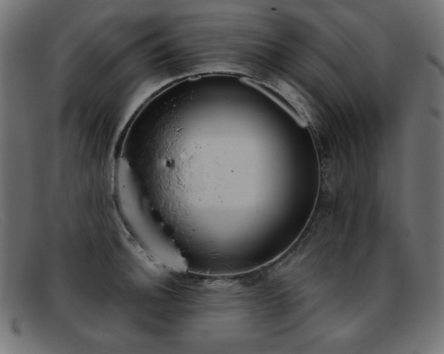 X0000093361140200710111450
