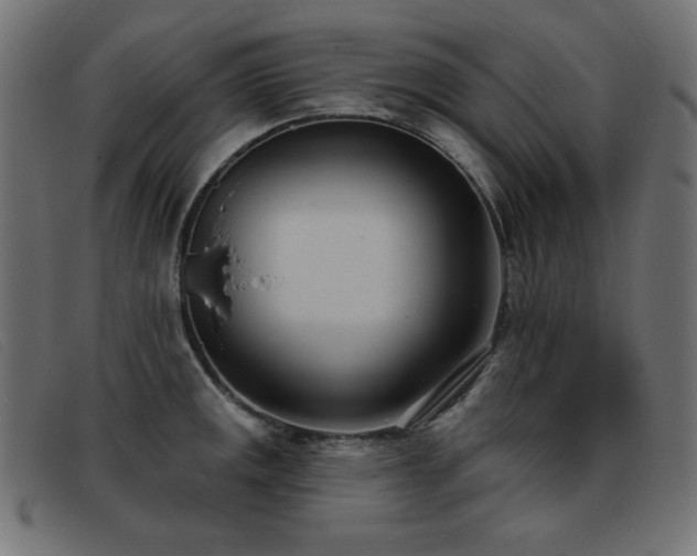 X0000093361141200710111450