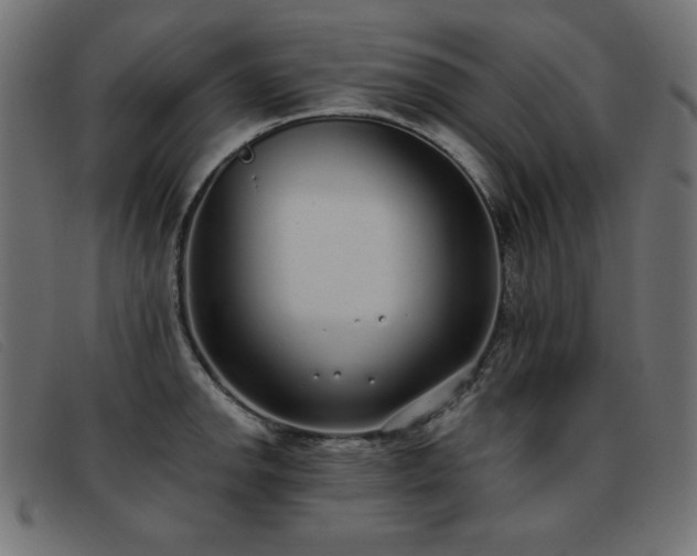 X0000093361142200710111450