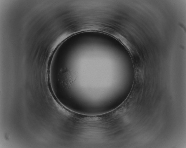 X0000093361143200710111450
