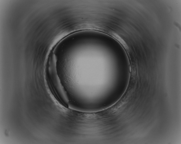 X0000093361144200710111450