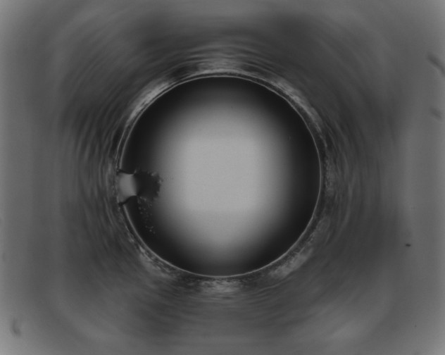 X0000093361145200710111450