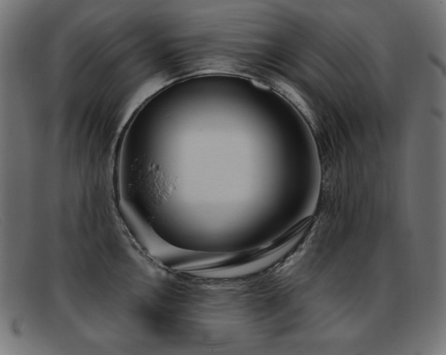 X0000093361146200710111450