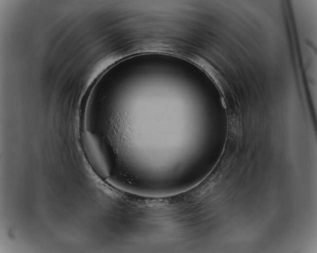 X0000093361147200710111450