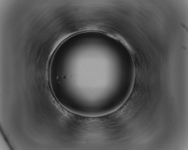 X0000093361148200710111450