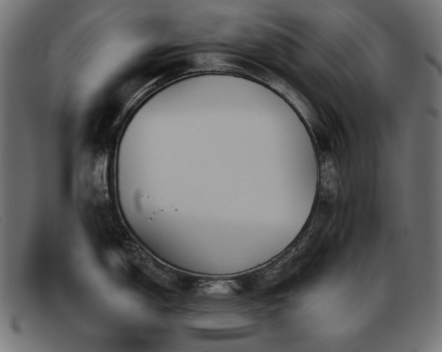 X0000093361150200710111450