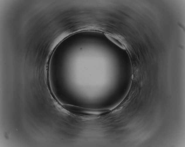 X0000093361151200710111450