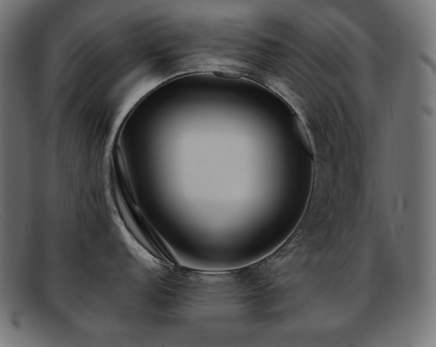 X0000093361152200710111450