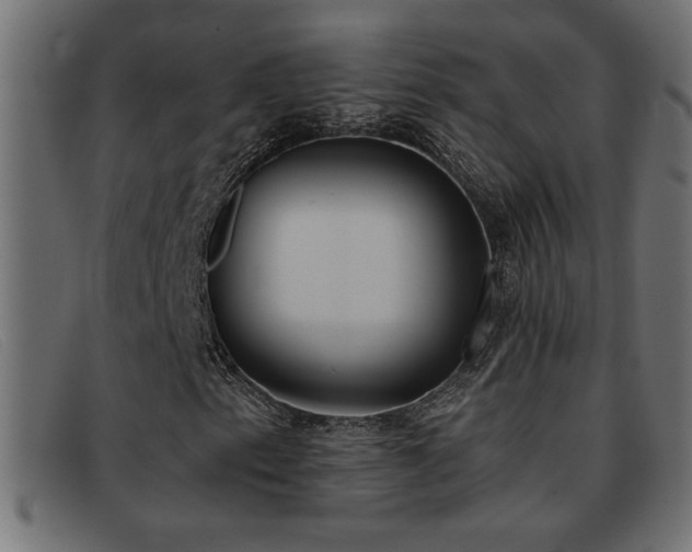 X0000093361153200710111449