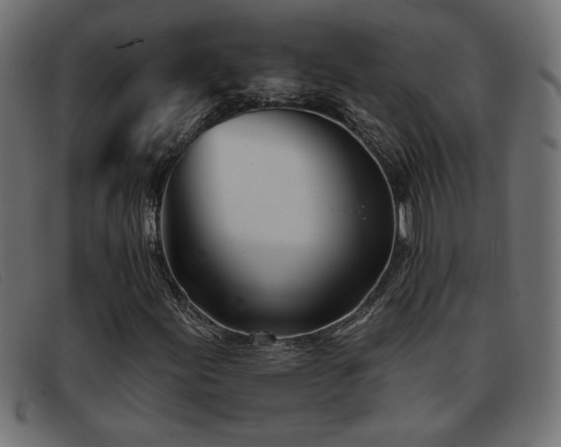 X0000093361155200710111449