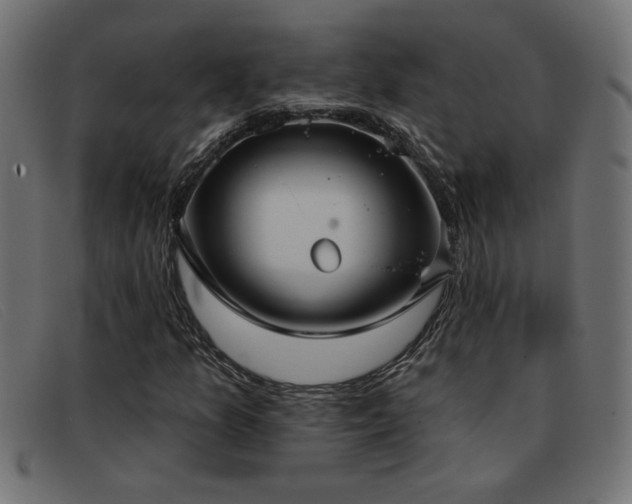 X0000093361157200710111449