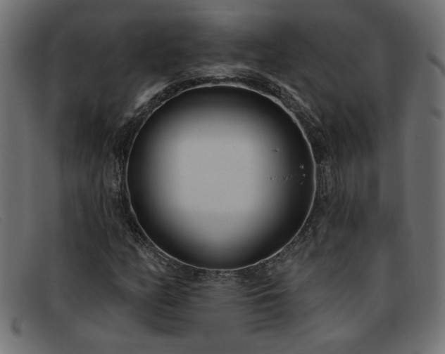 X0000093361158200710111449