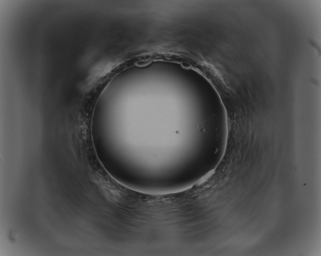 X0000093361159200710111449