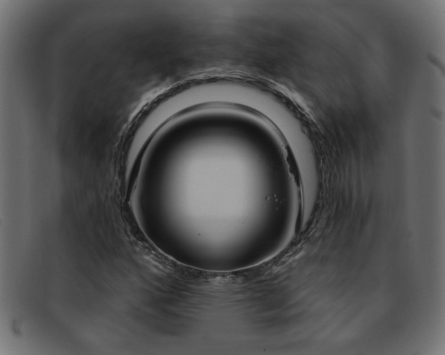 X0000093361160200710111449