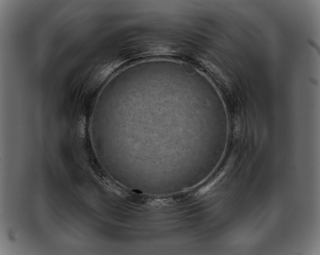 X0000093361161200710111449