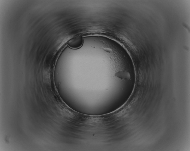 X0000093361162200710111449