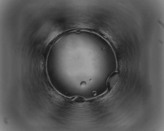X0000093361163200710111449