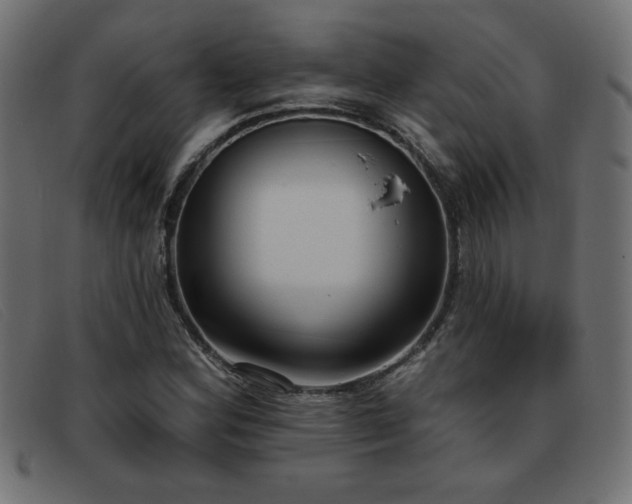X0000093361164200710111449