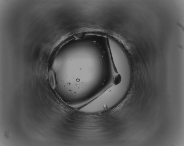 X0000093361165200710111449