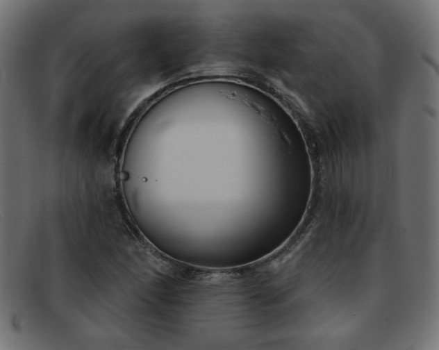 X0000093361166200710111449
