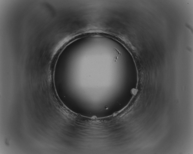 X0000093361167200710111449