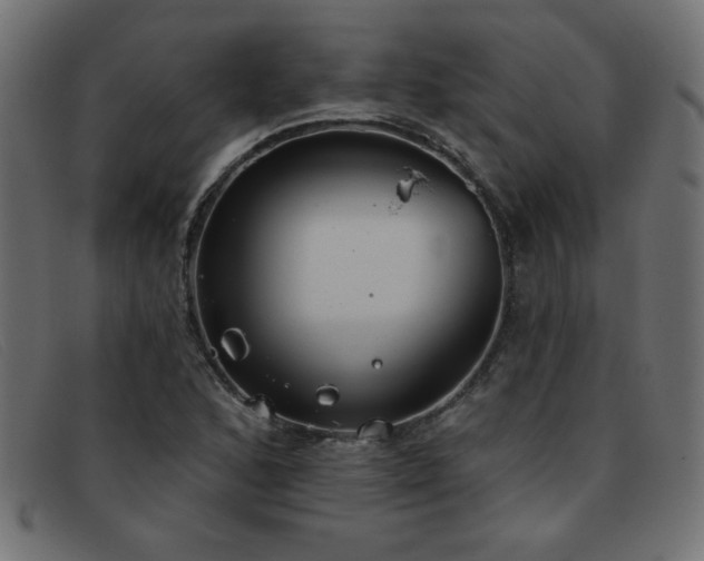 X0000093361168200710111449