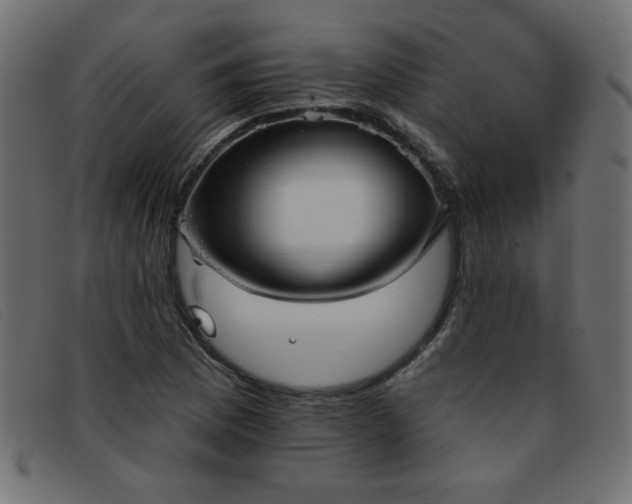 X0000093361169200710111449