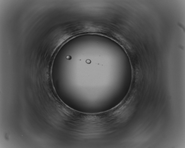 X0000093361170200710111449