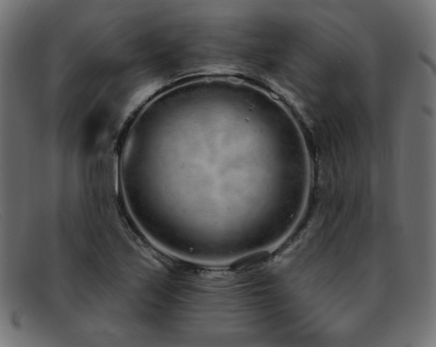 X0000093361171200710111449