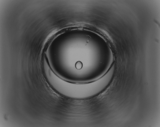 X0000093361172200710111449