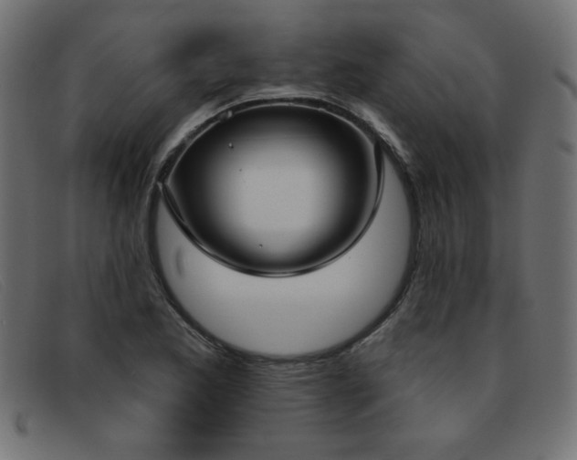 X0000093361173200710111449