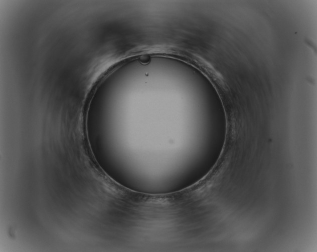 X0000093361174200710111449