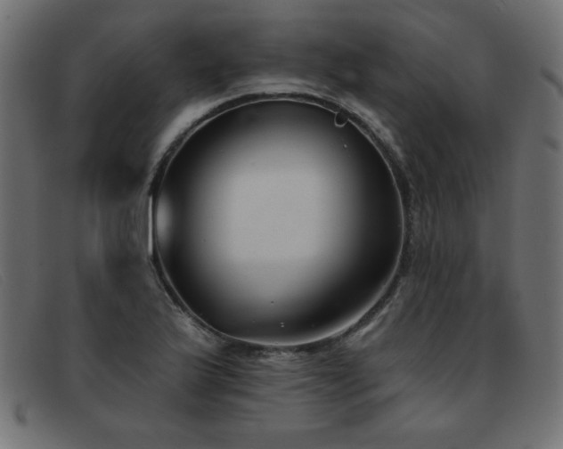 X0000093361175200710111449