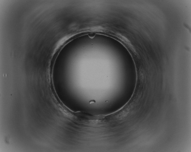 X0000093361176200710111449