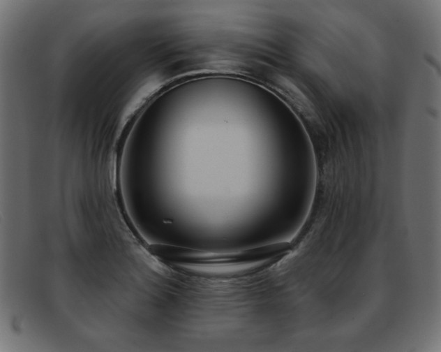 X0000093361180200710111449