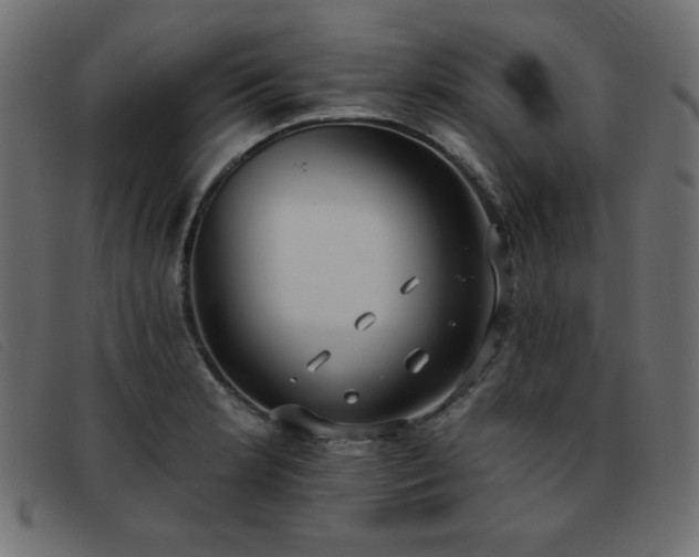 X0000093361181200710111449