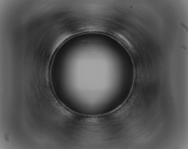 X0000093361182200710111449