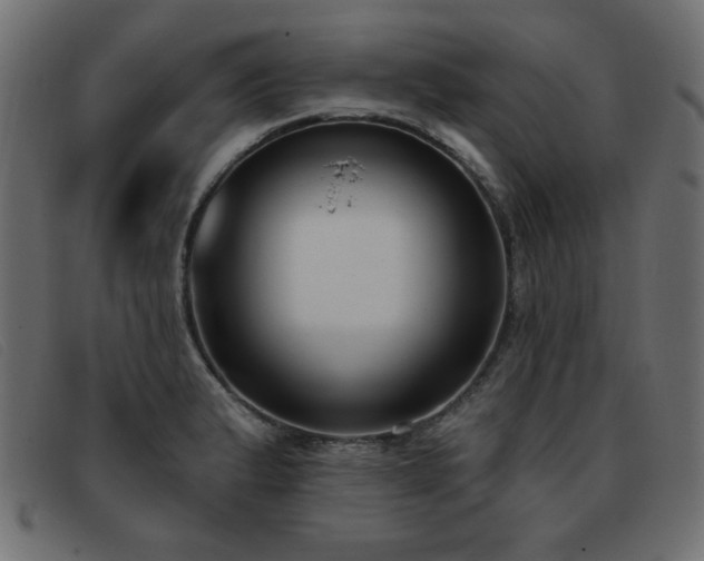 X0000093361183200710111449