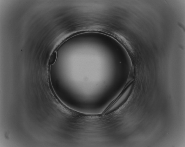 X0000093361184200710111449