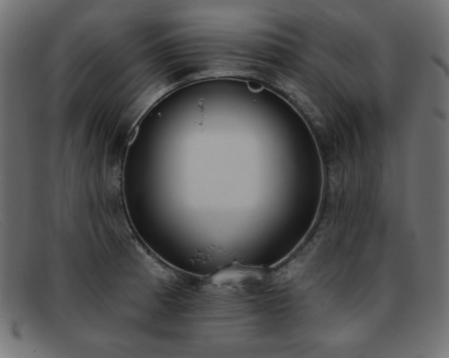 X0000093361185200710111449