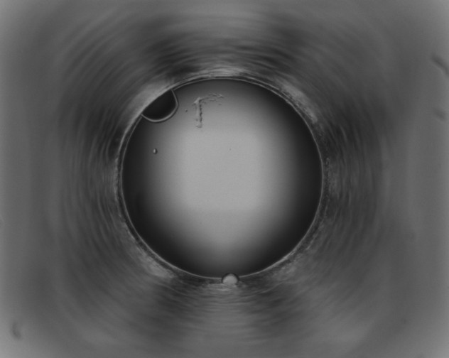 X0000093361186200710111449