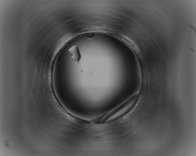 X0000093361188200710111449