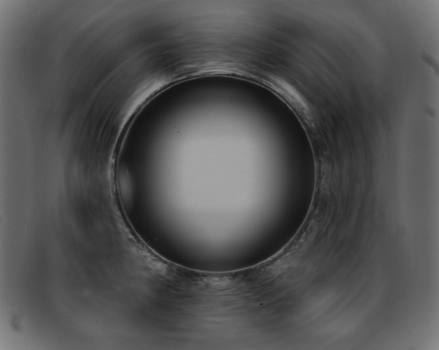 X0000093361190200710111449