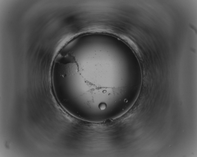 X0000093361191200710111449