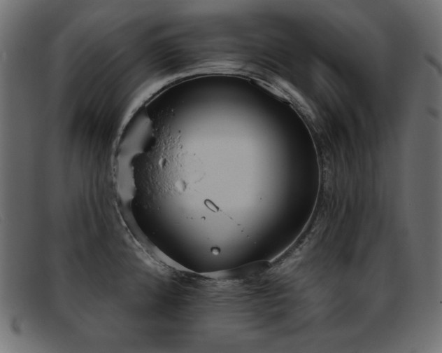 X0000093361192200710111449