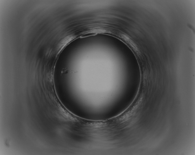 X0000093361193200710111449