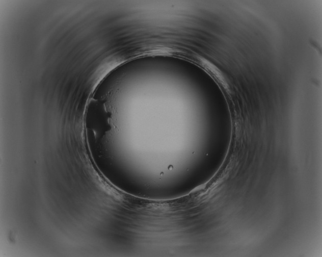 X0000093361194200710111449