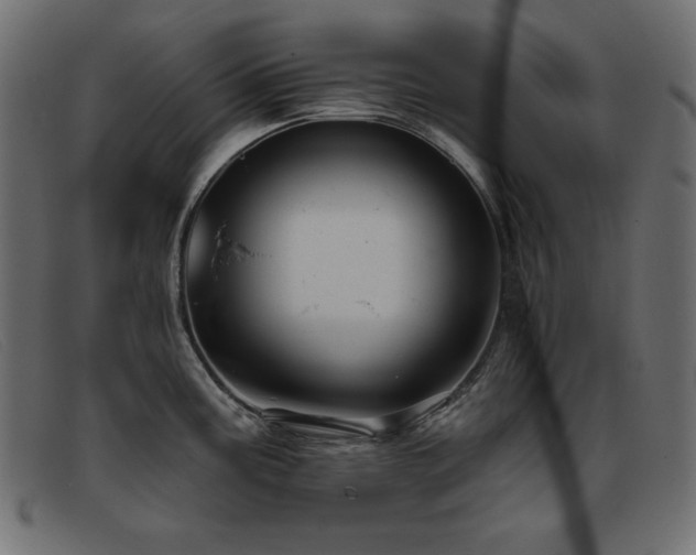 X0000093361195200710111449